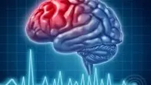 دنیا چگونه کار می‌کند؟

