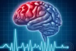 دنیا چگونه کار می‌کند؟

