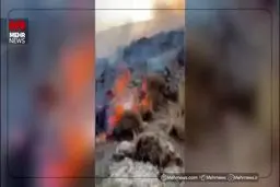 شعله‌های آتش در دامنه‌های دماوند زبانه کشید + ویدئو