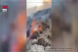 شعله‌های آتش در دامنه‌های دماوند زبانه کشید + ویدئو