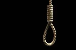 حکم اعدام ۲ عامل حمله تروریستی حرم شاهچراغ(ع) اجرا شد