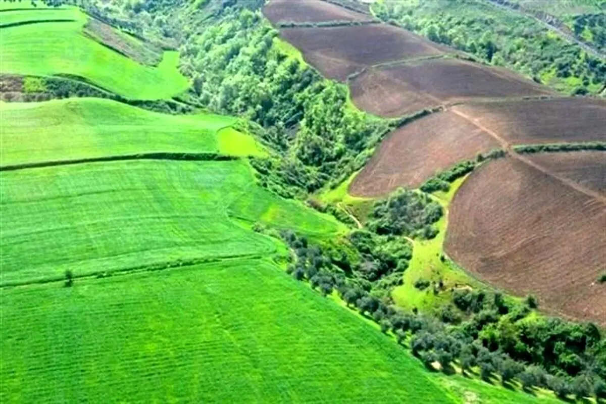 کشف زمین خواری میلیاردی در مینودشت
