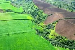 کشف زمین خواری میلیاردی در مینودشت
