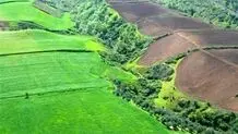 کشف زمین خواری میلیاردی در مینودشت
