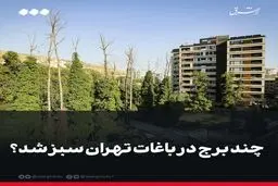 چند برج در باغات تهران سبز شد 
