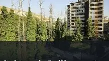 چند برج در باغات تهران سبز شد 
