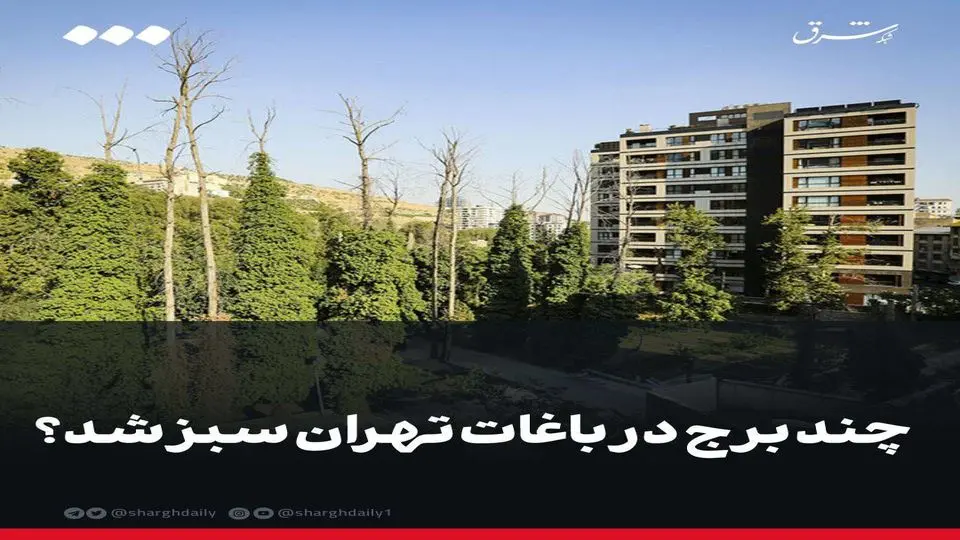 چند برج در باغات تهران سبز شد 
