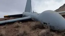۲ فروند پهپاد هرمس در خوزستان و اندیمشک منهدم شدند