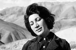 شکستن کلیشه فروغ فرخزاد