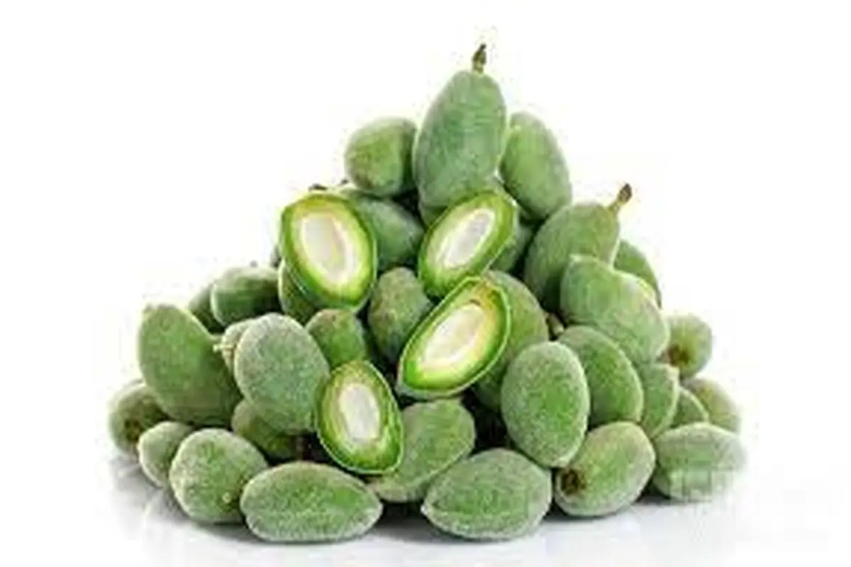 چغاله بادام نوبرانه ۲ میلیون تومان

