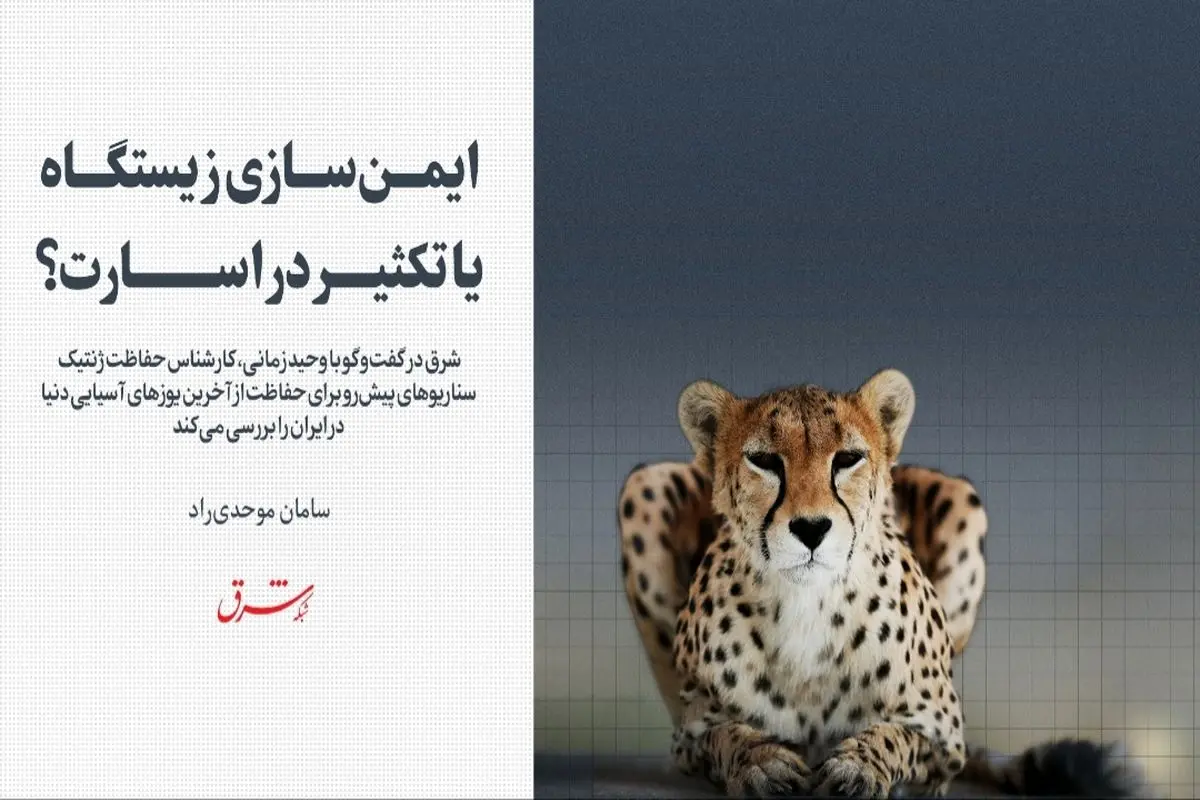 ایمن سازی زیستگاه یا تکثیر در اسارت؟