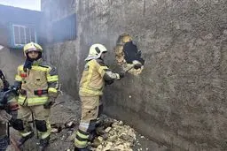 آتش‌سوزی در کارگاه رنگرزی شهرک گلریز جان یک نفر را گرفت + ویدیو