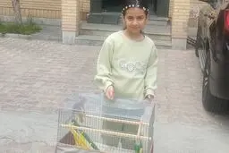 دختربچه سقزی سنجاب آسیب دیده را نجات داد 