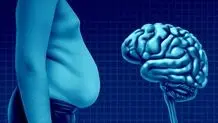 چاقی آلزایمر را تشدید می کند