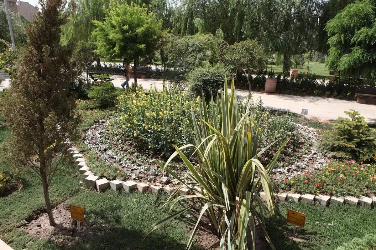 واکنش شهرداری تهران به ماجرای خبرساز قطع درختان پارک ستارخان