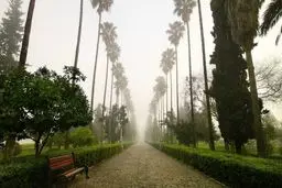 بلوار کازینو رامسر چرا محبوب شده؟