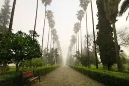 بلوار کازینو رامسر چرا محبوب شده؟