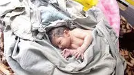 ادعای رهاسازی 5 هزار نوزاد در 10 روز رد شد