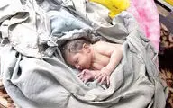 ادعای رهاسازی 5 هزار نوزاد در 10 روز رد شد