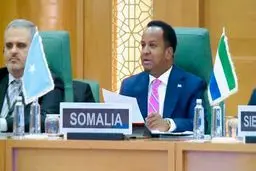 آغاز نشست سازمان همکاری اسلامی درباره سومالی‌لند

