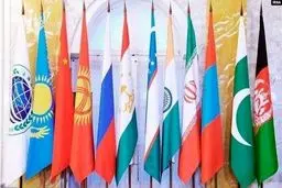 SCO states increasing share of national currencies: Official