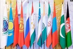 SCO states increasing share of national currencies: Official