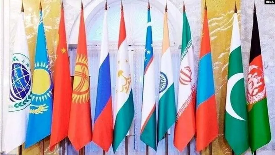 SCO states increasing share of national currencies: Official