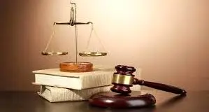 فرزند یک نماینده و اختیارات قانون

