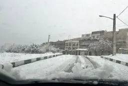 یخبندان در شمال شرق کشور