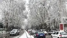 تهران امشب یخ می زند 