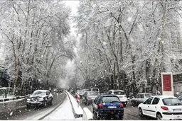 تهران امشب یخ می زند 