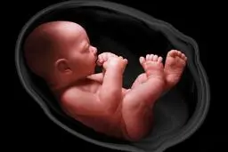 تصمیم «شوکه کننده» وزارت بهداشت/ غربالگری جنین غیرممکن شد؟

