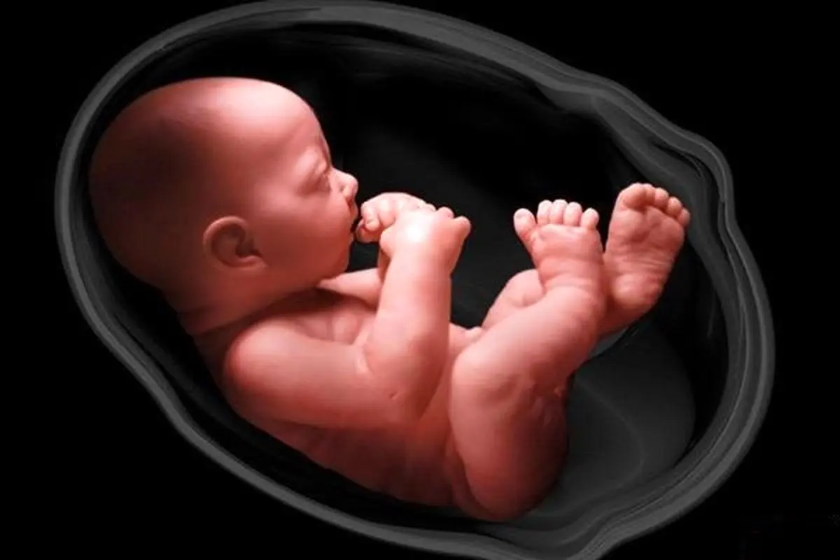 تصمیم «شوکه کننده» وزارت بهداشت/ غربالگری جنین غیرممکن شد؟

