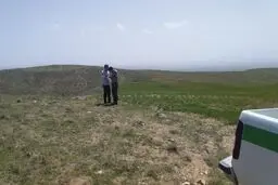 وجود ۶۶۵ هزار عرصه مرتعی در استان همدان