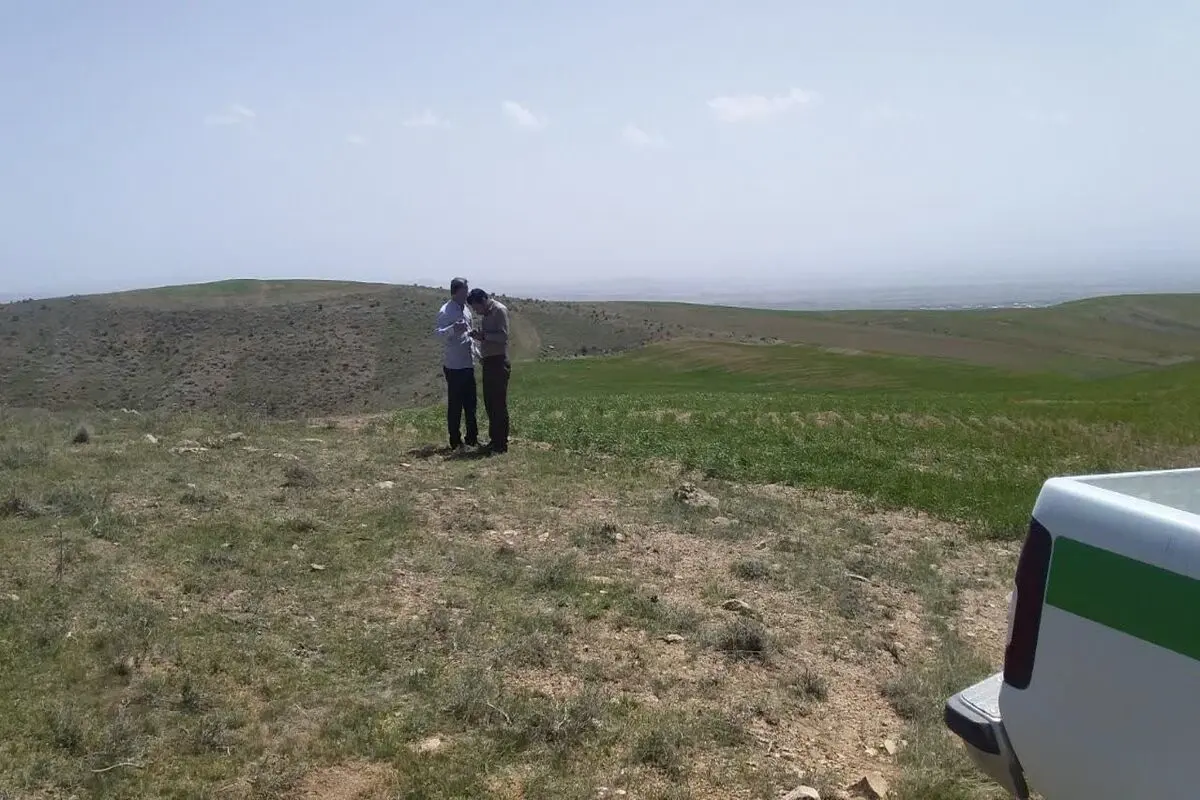 وجود ۶۶۵ هزار عرصه مرتعی در استان همدان