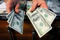۳۱ هزار دلار از چمدان یک مسافر در شیراز کشف شد