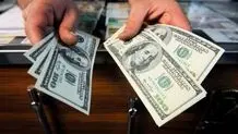۳۱ هزار دلار از چمدان یک مسافر در شیراز کشف شد