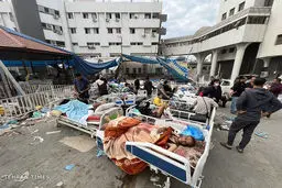 West HR bodies lost their credibility in wake of Gaza war