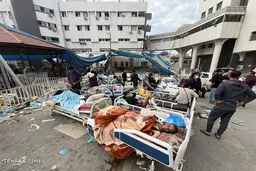 West HR bodies lost their credibility in wake of Gaza war