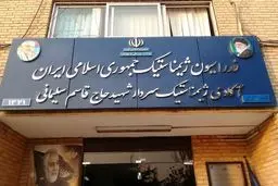 پلمپ فدراسیون ژیمناستیک