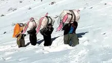 تصمیم مهم مجلس درباره کولبری