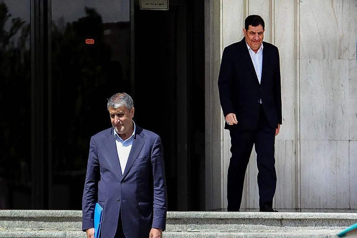 آمریکا مانع سخنرانی محمد اسلامی در وین شد