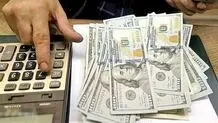 نماینده مجلس: یارانه نقدی جایگزین ارز ارزان شود
