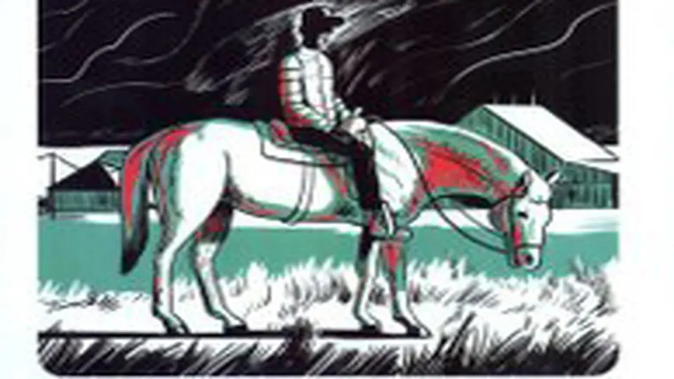 بحران عدالت

