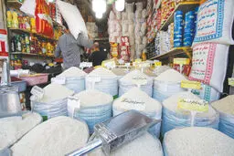 برنج خارجی سر سفره شمالی‌‌ها