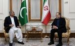 وزیر کشور پاکستان وارد تهران شد