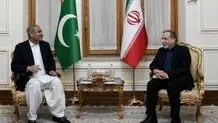وزیر کشور پاکستان وارد تهران شد