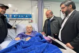 مدیرعامل صندوق اعتباری هنر از عنایت بخشی عیادت کرد
