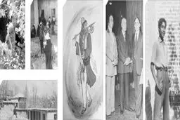ماهی این‌بار رفت و دام ببُرد
