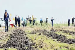 کاسبی ارواح!